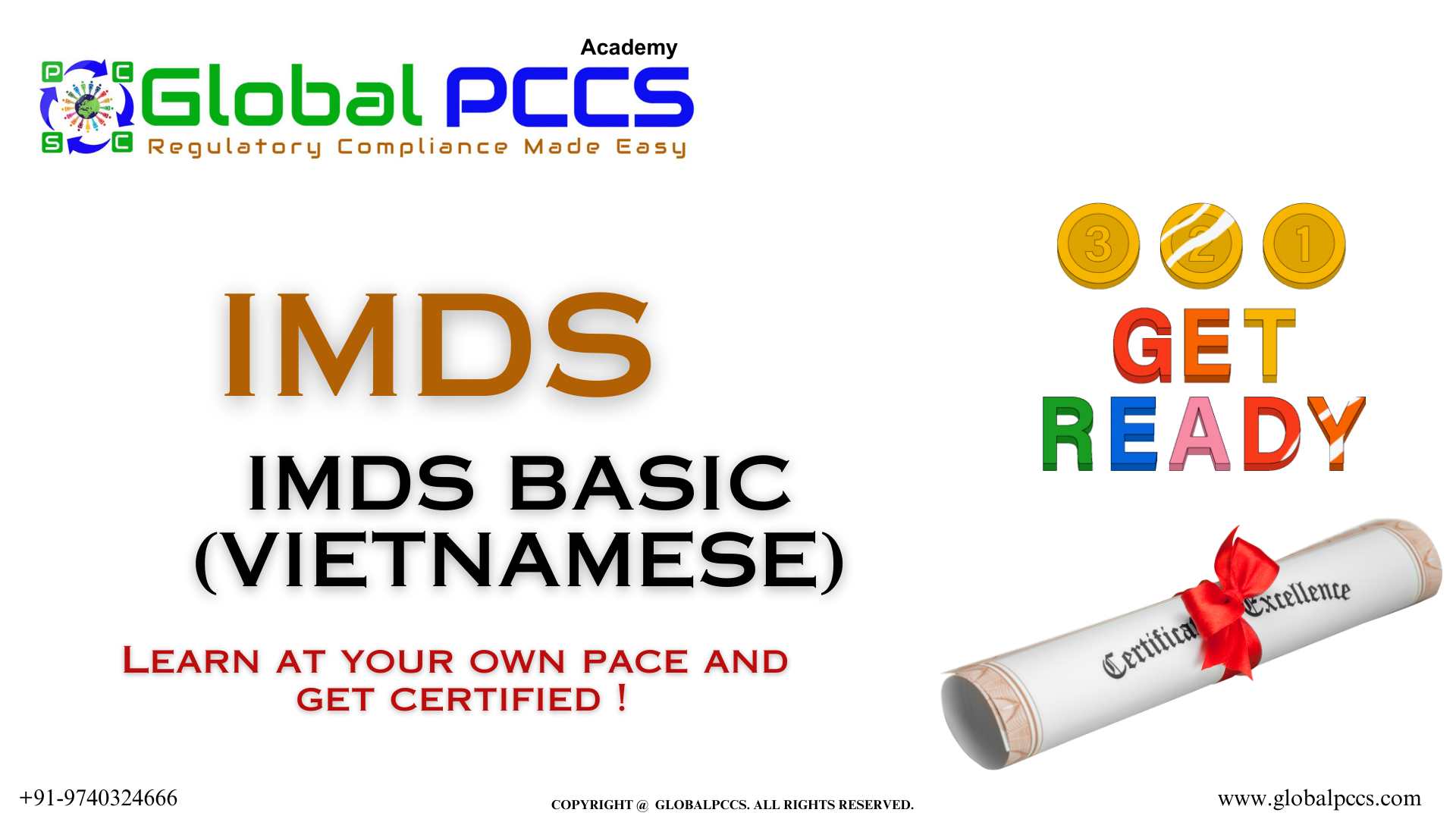 IMDS Basic (Vietnamese)