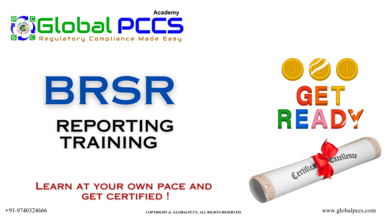 BRSR Reporting Framework