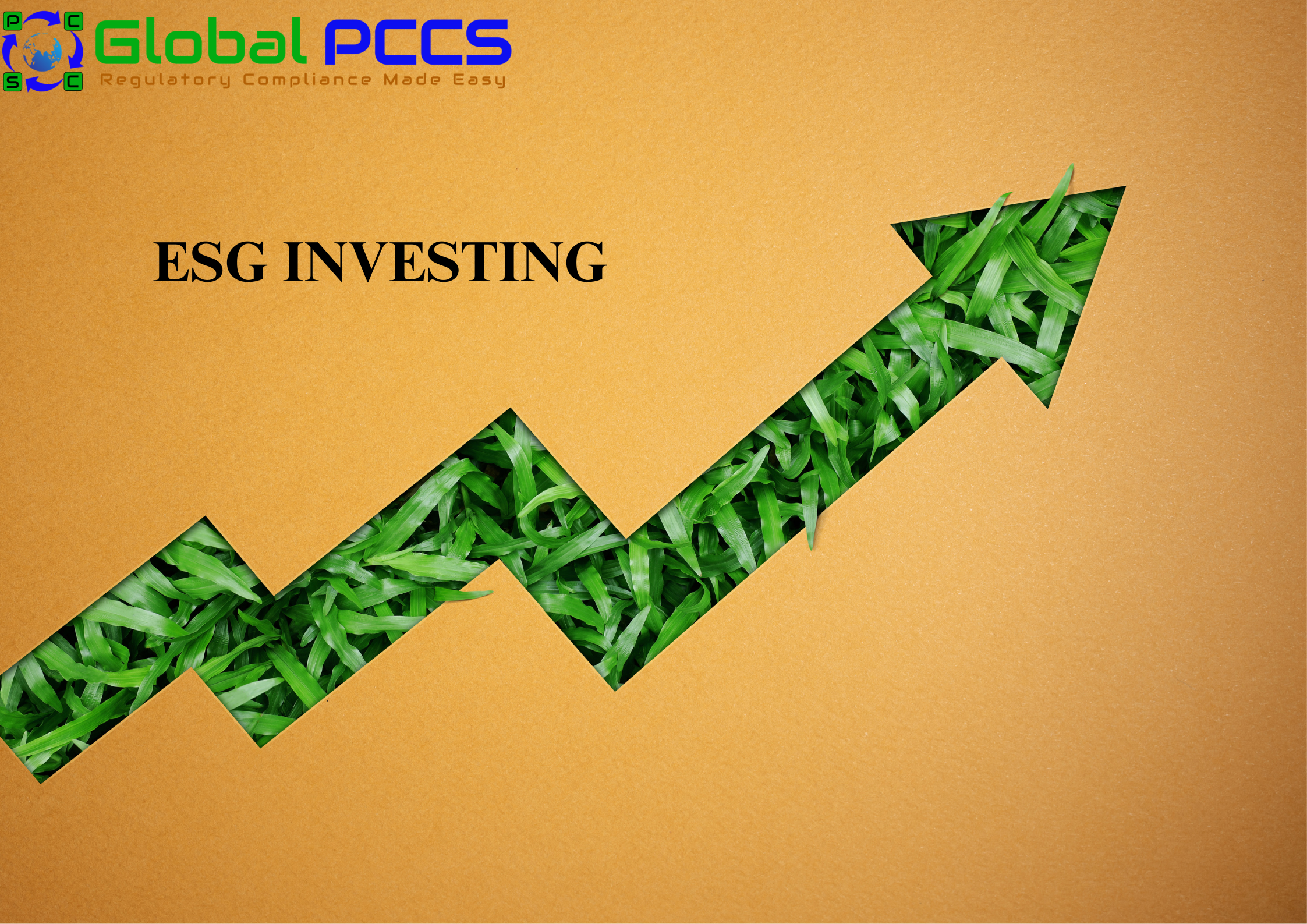 ESG Investing New