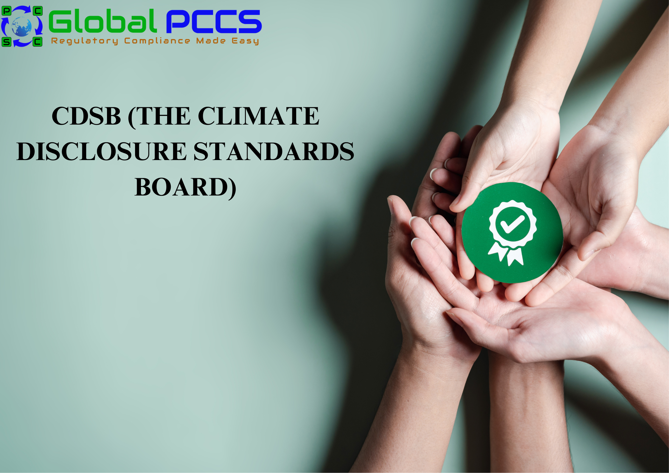 CDSB (The Climate Disclosure Standards Board)