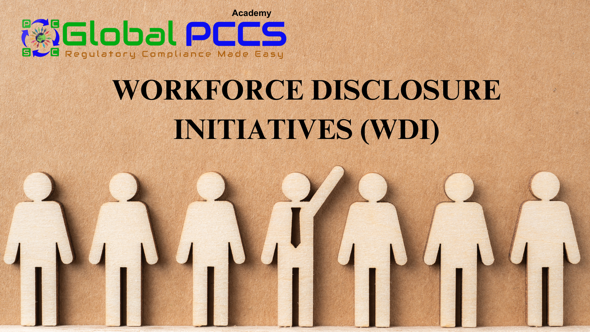 Workforce Disclosure Initiatives (WDI)