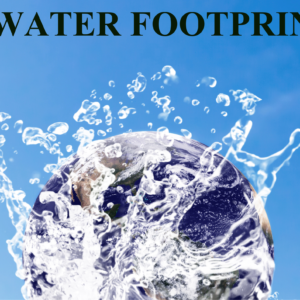Water Footprinting